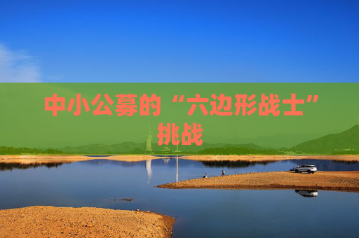 中小公募的“六邊形戰(zhàn)士”挑戰(zhàn)