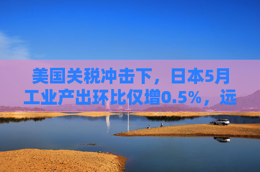 美國(guó)關(guān)稅沖擊下，日本5月工業(yè)產(chǎn)出環(huán)比僅增0.5%，遠(yuǎn)遜于預(yù)期