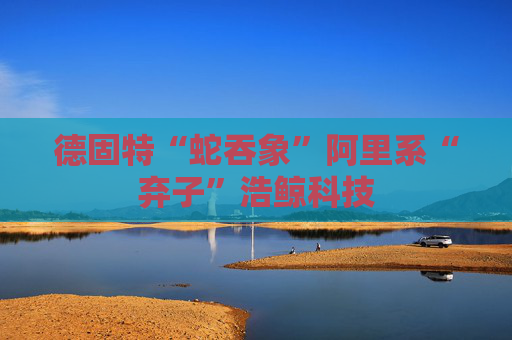 德固特“蛇吞象”阿里系“棄子”浩鯨科技