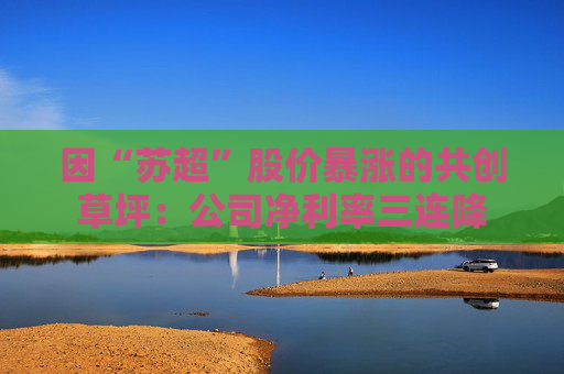 因“蘇超”股價(jià)暴漲的共創(chuàng)草坪：公司凈利率三連降