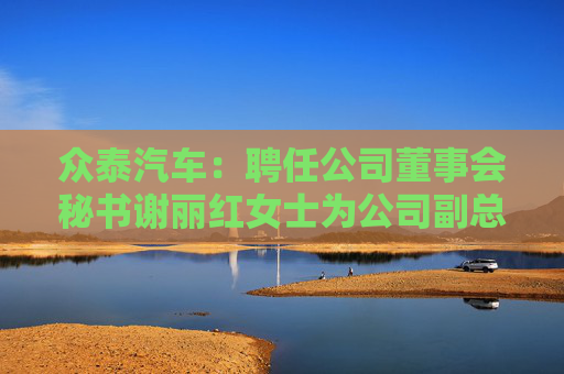 眾泰汽車：聘任公司董事會秘書謝麗紅女士為公司副總裁