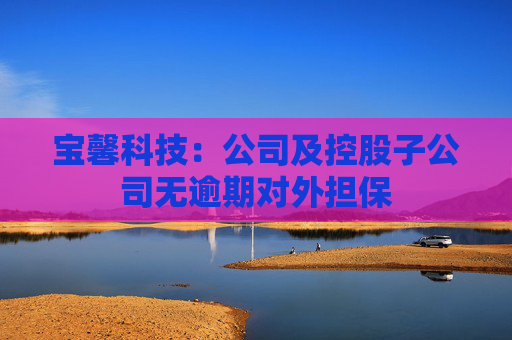 寶馨科技：公司及控股子公司無逾期對外擔保  第1張