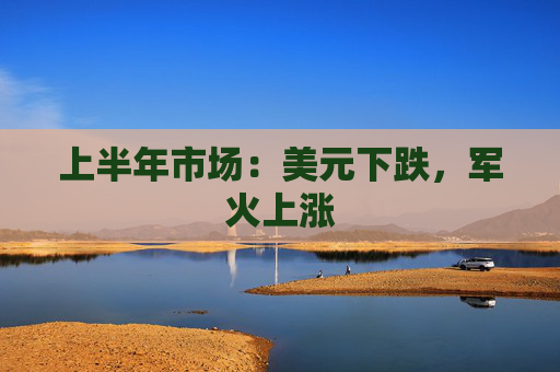 上半年市場：美元下跌，軍火上漲