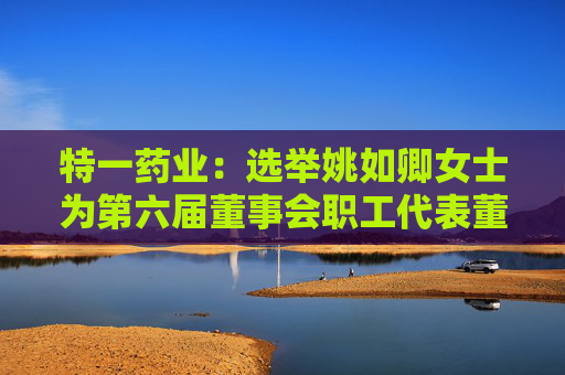 特一藥業(yè)：選舉姚如卿女士為第六屆董事會(huì)職工代表董事