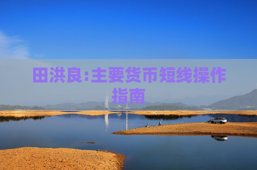 田洪良:主要貨幣短線操作指南