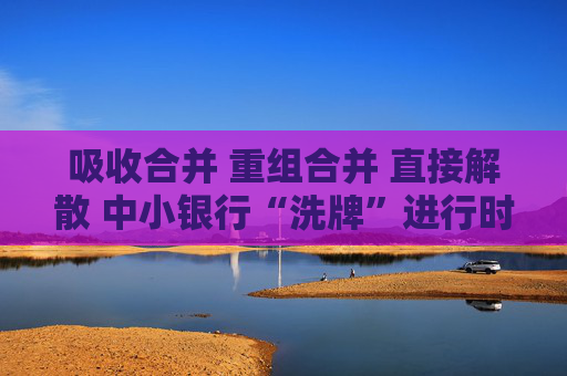 吸收合并 重組合并 直接解散 中小銀行“洗牌”進(jìn)行時(shí)  第1張