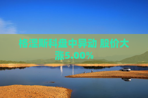 格涅斯科盤中異動 股價大漲5.00%