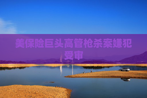 美保險(xiǎn)巨頭高管槍殺案嫌犯受審