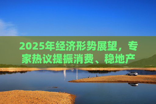 2025年經濟形勢展望，專家熱議提振消費、穩(wěn)地產