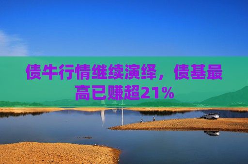 債牛行情繼續(xù)演繹，債基最高已賺超21%
