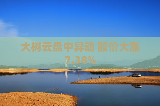 大樹云盤中異動 股價大漲7.38%