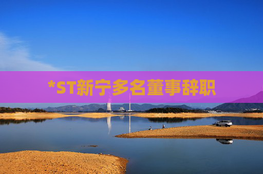 *ST新寧多名董事辭職