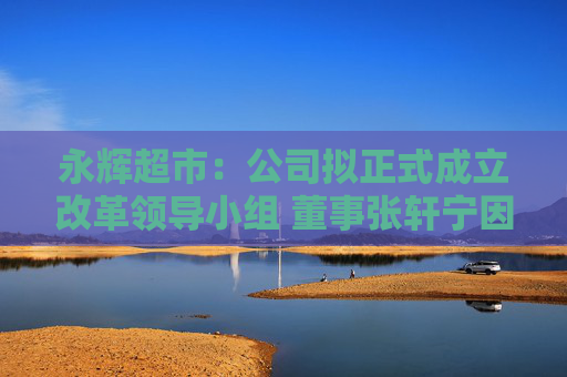 永輝超市：公司擬正式成立改革領(lǐng)導小組 董事張軒寧因CEO安排表示反對  第1張