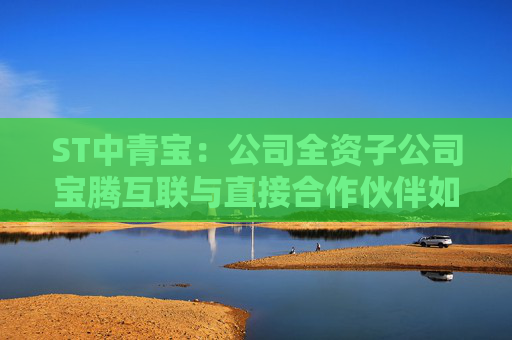 ST中青寶：公司全資子公司寶騰互聯(lián)與直接合作伙伴如中國電信、中國聯(lián)通、中國移動等建立重要的合作關(guān)系