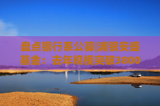 盤點(diǎn)銀行系公募|浦銀安盛基金：去年規(guī)模突破3800億 非貨增速14.1%成行業(yè)黑馬