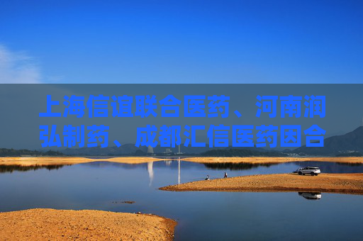 上海信誼聯(lián)合醫(yī)藥、河南潤(rùn)弘制藥、成都匯信醫(yī)藥因合謀將一款醫(yī)保甲類麻醉注射液價(jià)格推高21倍，被罰2.2億