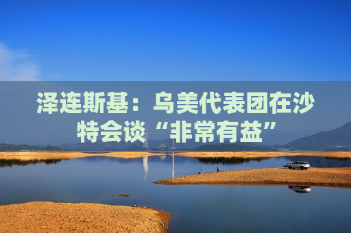 澤連斯基：烏美代表團在沙特會談“非常有益”  第1張