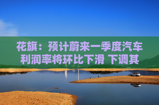 花旗：預計蔚來一季度汽車利潤率將環(huán)比下滑 下調其美股和港股目標價
