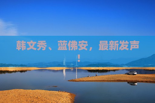 韓文秀、藍(lán)佛安，最新發(fā)聲！