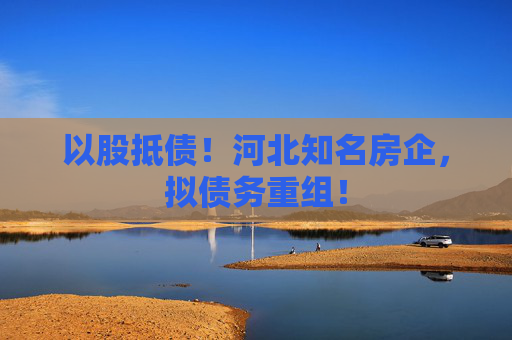 以股抵債！河北知名房企，擬債務(wù)重組！