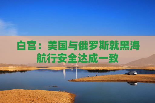 白宮：美國與俄羅斯就黑海航行安全達成一致  第1張