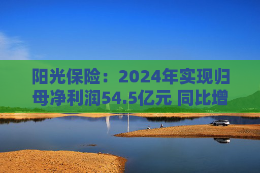 陽(yáng)光保險(xiǎn)：2024年實(shí)現(xiàn)歸母凈利潤(rùn)54.5億元 同比增長(zhǎng)45.8%