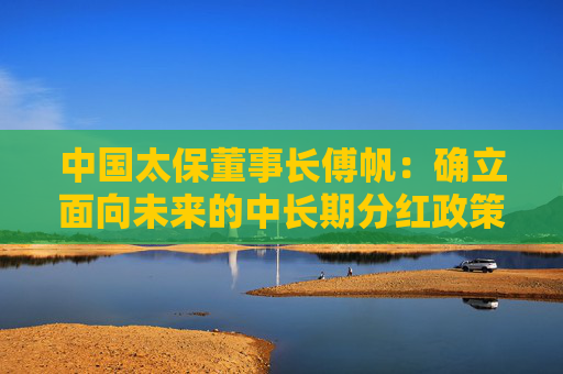 中國(guó)太保董事長(zhǎng)傅帆：確立面向未來(lái)的中長(zhǎng)期分紅政策