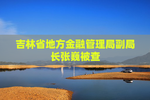 吉林省地方金融管理局副局長張巍被查