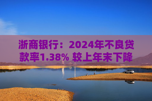 浙商銀行：2024年不良貸款率1.38% 較上年末下降0.06個(gè)百分點(diǎn)  第1張
