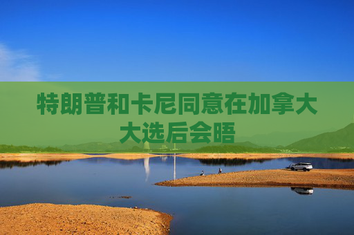 特朗普和卡尼同意在加拿大大選后會(huì)晤  第1張