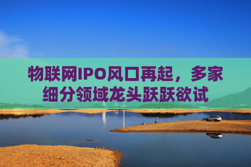 物聯(lián)網(wǎng)IPO風口再起，多家細分領(lǐng)域龍頭躍躍欲試