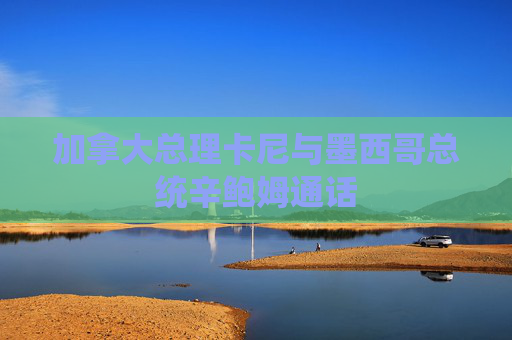 加拿大總理卡尼與墨西哥總統(tǒng)辛鮑姆通話  第1張