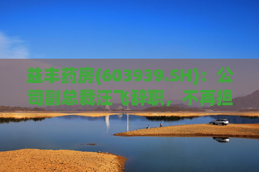 益豐藥房(603939.SH)：公司副總裁汪飛辭職，不再擔(dān)任公司其他職務(wù)