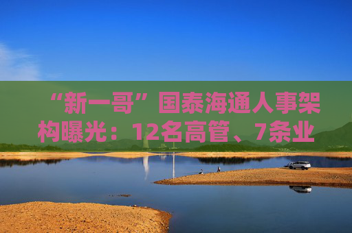 “新一哥”國泰海通人事架構(gòu)曝光：12名高管、7條業(yè)務(wù)線、41個部門浮出水面