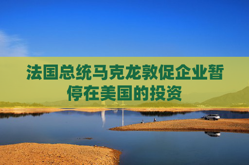 法國總統(tǒng)馬克龍敦促企業(yè)暫停在美國的投資
