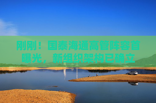 剛剛！國泰海通高管陣容首曝光，新組織架構已確立
