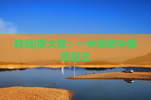 視頻|李大霄：一片悲歌中傲然挺立