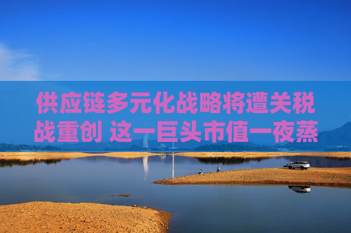 供應(yīng)鏈多元化戰(zhàn)略將遭關(guān)稅戰(zhàn)重創(chuàng) 這一巨頭市值一夜蒸發(fā)超3000億美元