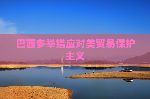 巴西多舉措應(yīng)對美貿(mào)易保護(hù)主義