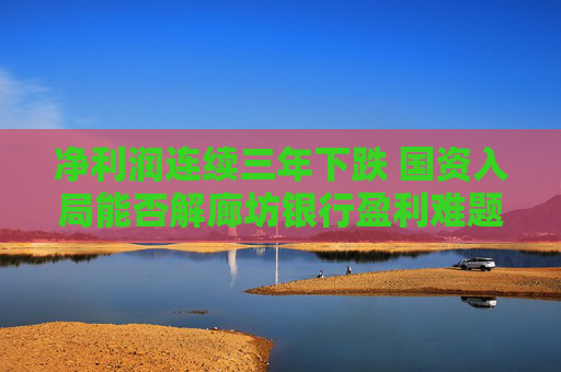 凈利潤連續(xù)三年下跌 國資入局能否解廊坊銀行盈利難題