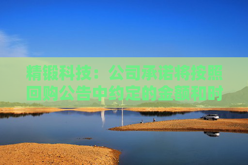 精鍛科技：公司承諾將按照回購公告中約定的金額和時間完成回購