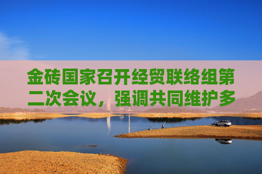 金磚國(guó)家召開經(jīng)貿(mào)聯(lián)絡(luò)組第二次會(huì)議，強(qiáng)調(diào)共同維護(hù)多邊貿(mào)易體制，反對(duì)單邊主義和貿(mào)易保護(hù)主義