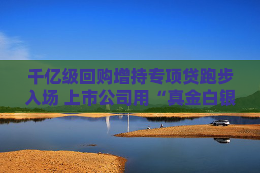 千億級(jí)回購(gòu)增持專項(xiàng)貸跑步入場(chǎng) 上市公司用“真金白銀”提振信心