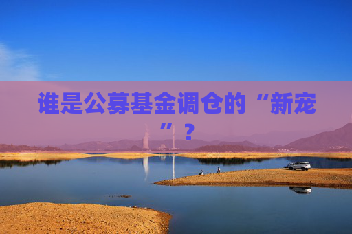 誰(shuí)是公募基金調(diào)倉(cāng)的“新寵”？