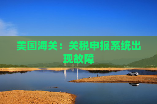 美國海關(guān)：關(guān)稅申報系統(tǒng)出現(xiàn)故障