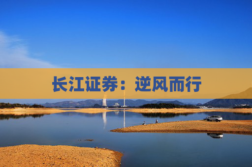 長江證券：逆風(fēng)而行  第1張