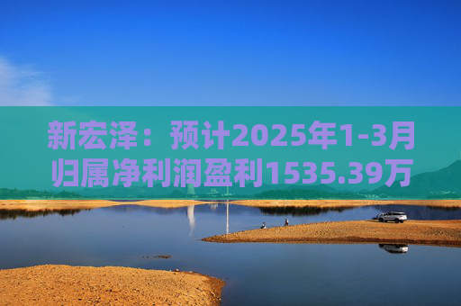 新宏澤：預(yù)計(jì)2025年1-3月歸屬凈利潤(rùn)盈利1535.39萬(wàn)元至1958.95萬(wàn)元