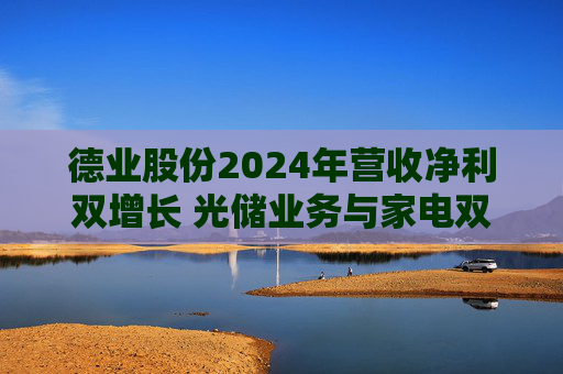 德業(yè)股份2024年營收凈利雙增長 光儲業(yè)務與家電雙輪驅動發(fā)力