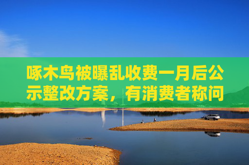 啄木鳥被曝亂收費一月后公示整改方案，有消費者稱問題仍未解決