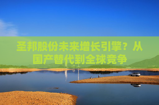 圣邦股份未來增長引擎？從國產(chǎn)替代到全球競爭